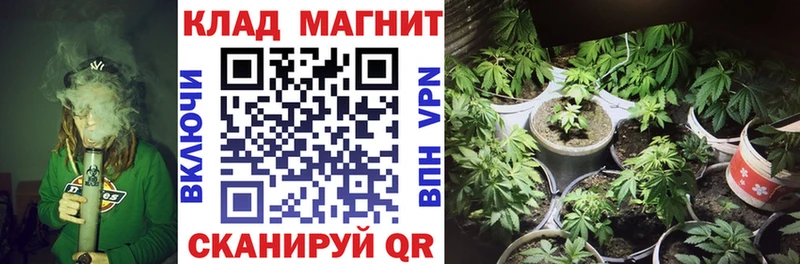 Купить Канабис  Cocaine  Галлюциногенные грибы  МЕФ  АМФЕТАМИН  Дальнереченск