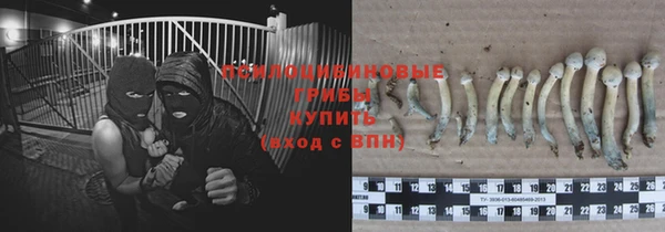 СК Киреевск