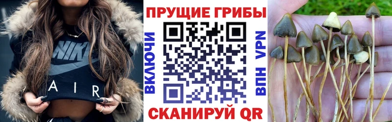 Галлюциногенные грибы прущие грибы  Купить где  Дальнереченск 